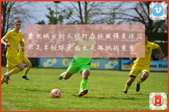 费尔顿分析文班对森林狼强度适应不足年轻球员成长之路挑战重重