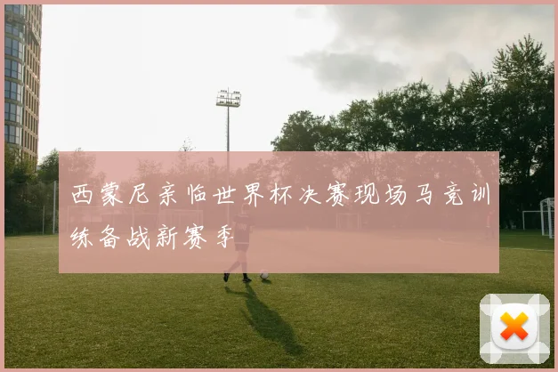 西蒙尼亲临世界杯决赛现场马竞训练备战新赛季