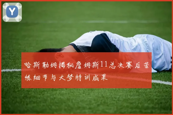 哈斯勒姆揭秘詹姆斯11总决赛后苦练细节与大梦特训成果